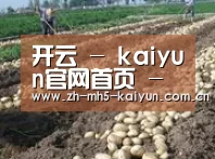 种植基地七(图1)