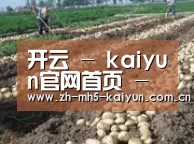 种植基地八