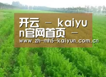 种植基地四