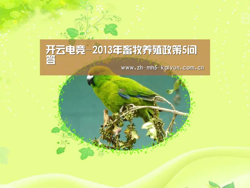  电竞官网