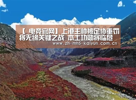  电竞官网