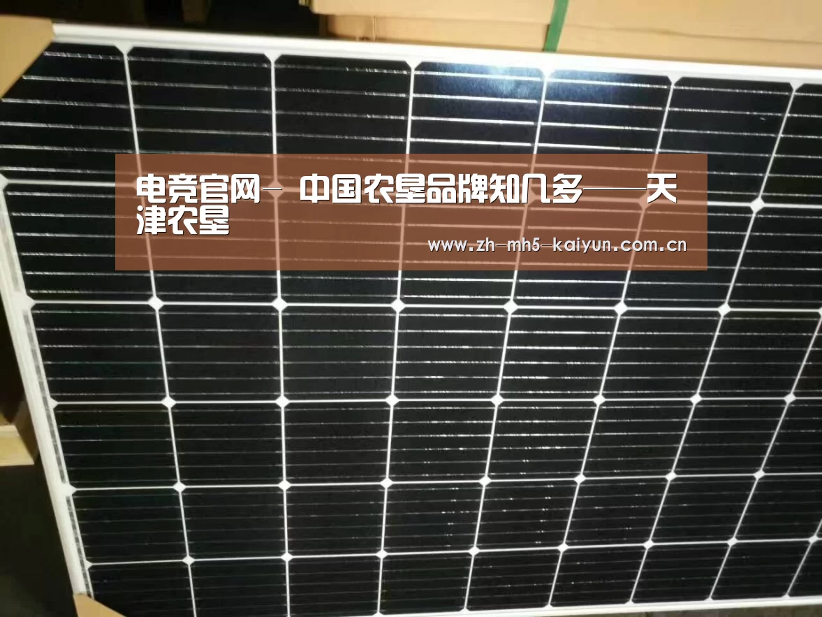  LOL直播
