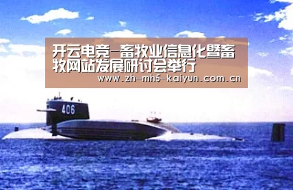 开云电竞