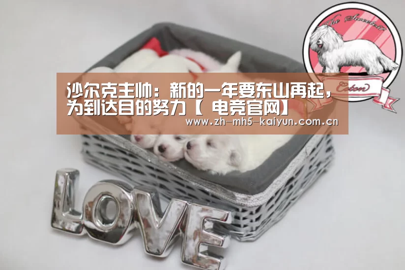  LOL直播
