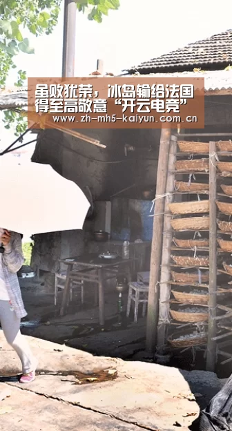 虽败犹荣,冰岛输给法国贏得至高敬意“开云电竞”(图2) 开云电竞