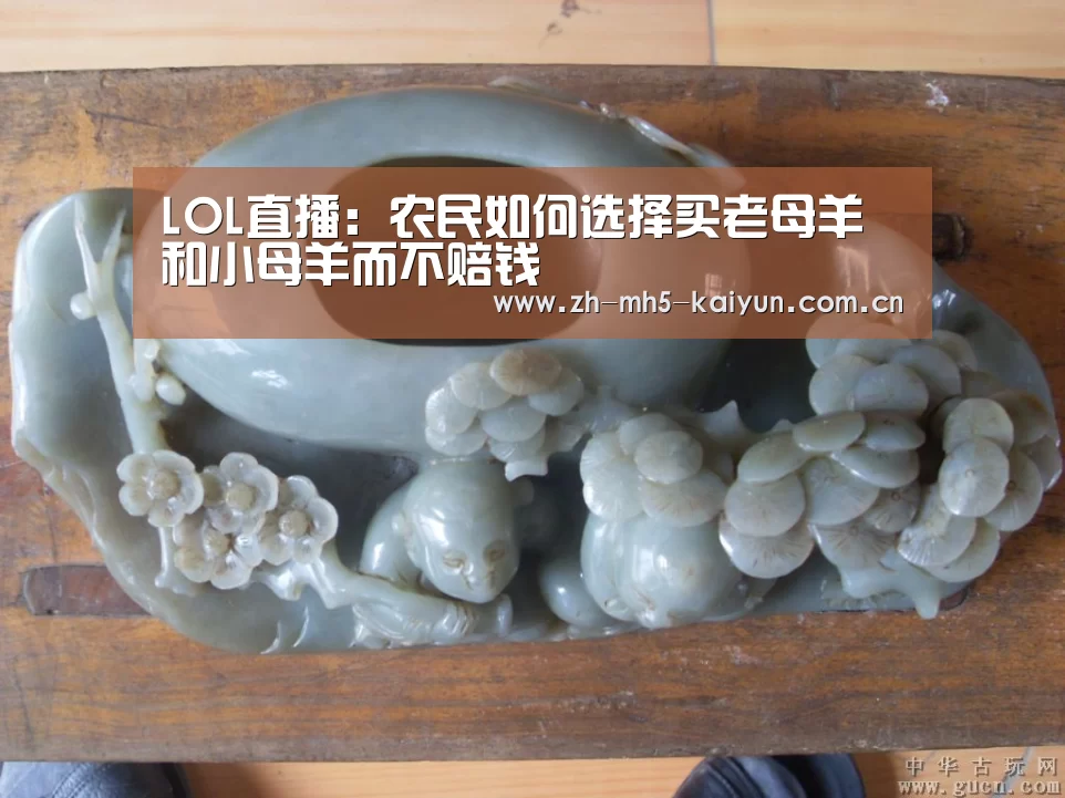 LOL直播:农民如何选择买老母羊和小母羊而不赔钱(图1) 电竞官网